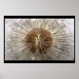 パルサー ポスター