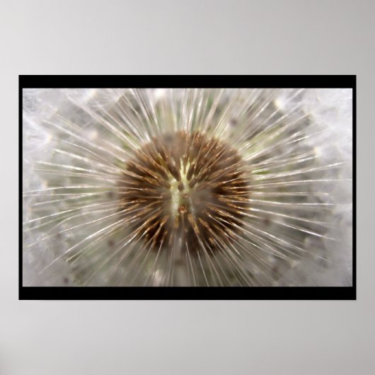 パルサー ポスター (正面)