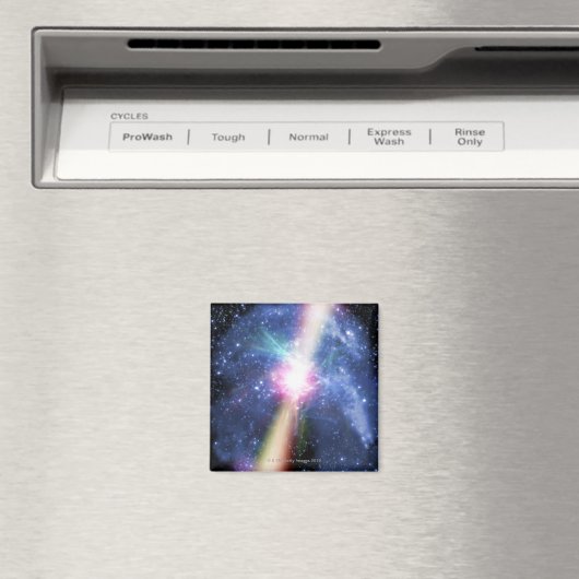 パルサー マグネット (インサイチュ (食洗機))