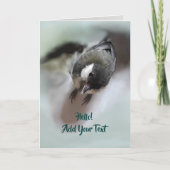 パルスのティディ専攻のー カード (正面)