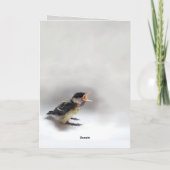 パルスのティディ専攻のー カード (裏面)