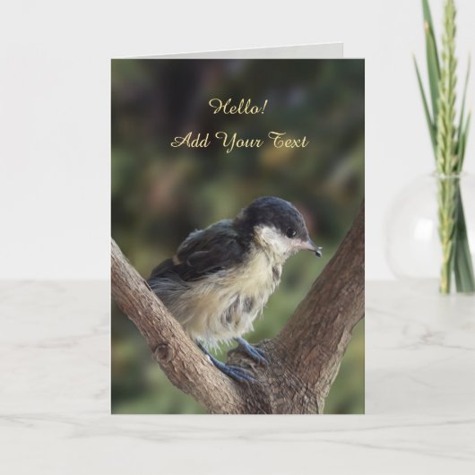 パルスのティディ専攻のー カード (正面)