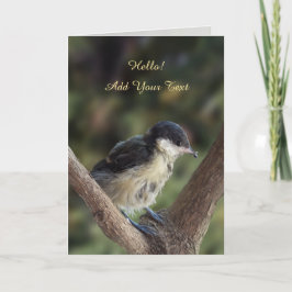 パルスのティディ専攻のー カード