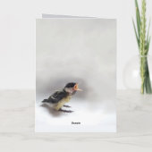 パルスのティディ専攻のー カード (裏面)