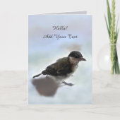 パルスのティディ専攻のー カード (正面)