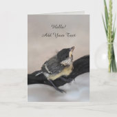 パルスのティディ専攻のー カード (正面)