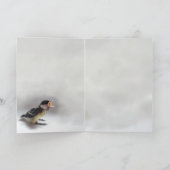 パルスのティディ専攻のー カード (内部)