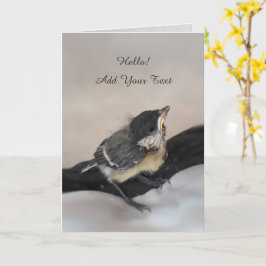 パルスのティディ専攻のー カード