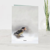 パルスのティディ専攻のー カード (裏面)