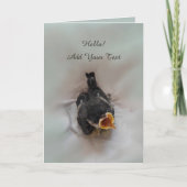 パルスのティディ専攻のー カード (正面)