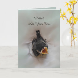 パルスのティディ専攻のー カード