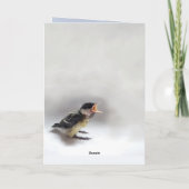 パルスのティディ専攻のー カード (裏面)