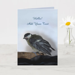 パルスのティディ専攻のー カード