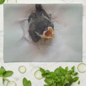 パルスのティディ専攻のー キッチンタオル (折り畳み)