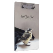 パルスのティディ専攻のー クリップボード (右)