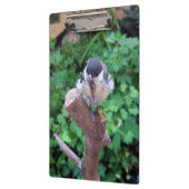 パルスのティディ専攻のー クリップボード (左)