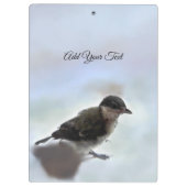 パルスのティディ専攻のー クリップボード (裏面)