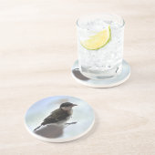 パルスのティディ専攻のー コースター (側面)