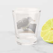 パルスのティディ専攻のー ショットグラス (裏面)