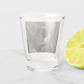 パルスのティディ専攻のー ショットグラス (裏面)