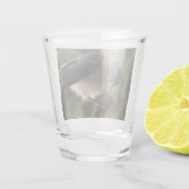 パルスのティディ専攻のー ショットグラス (裏面)