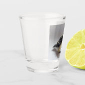 パルスのティディ専攻のー ショットグラス (左)