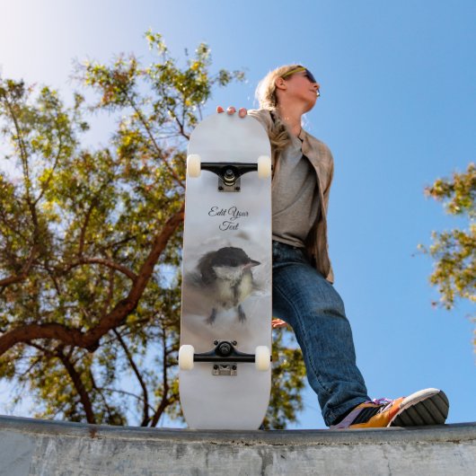 パルスのティディ専攻のー スケートボード (室外1)