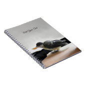 パルスのティディ専攻のー ノートブック (右側)