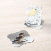 パルスのティディ専攻のー ペーパーコースター (インサイチュ)