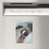 パルスのティディ専攻のー マグネット (インサイチュ (食洗機))