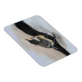 パルスのティディ専攻のー マグネット (右側)