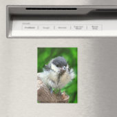 パルスのティディ専攻のー マグネット (インサイチュ (食洗機))