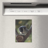 パルスのティディ専攻のー マグネット (インサイチュ (食洗機))