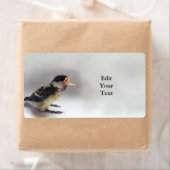 パルスのティディ専攻のー ラベル (インサイチュ)