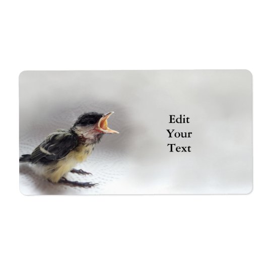 パルスのティディ専攻のー ラベル (正面)