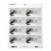 パルスのティディ専攻のー ラベル (フルシート)