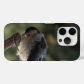 パルスのティディ専攻のー Case-Mate iPhoneケース (裏面 (横))
