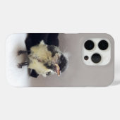パルスのティディ専攻のー Case-Mate iPhoneケース (裏面 (横))