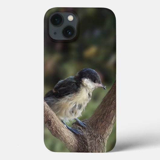 パルスのティディ専攻のー Case-Mate iPhoneケース (裏面)