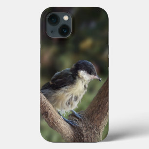 パルスのティディ専攻のー iPhone 13ケース