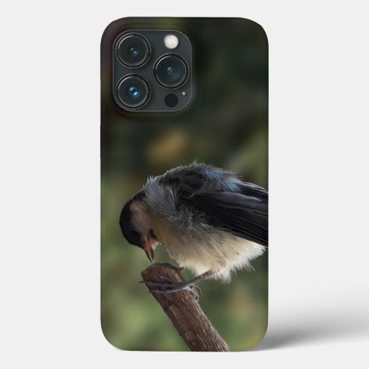 パルスのティディ専攻のー Case-Mate iPhoneケース (裏面)