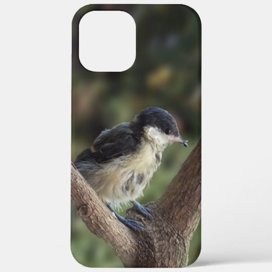 パルスのティディ専攻のー Case-Mate iPhoneケース (裏面)