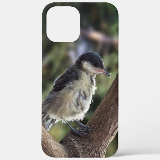 パルスのティディ専攻のー Case-Mate iPhoneケース (裏面)