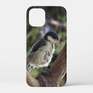 パルスのティディ専攻のー iPhone 12 MINI ケース