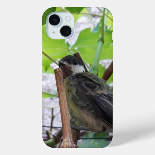 パルスのティディ専攻のー Case-Mate iPhoneケース (裏面)