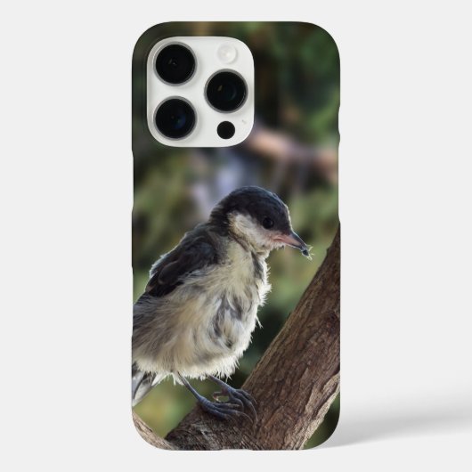 パルスのティディ専攻のー Case-Mate iPhoneケース (裏面)