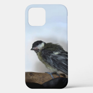 パルスのティディ専攻のー iPhone 12ケース