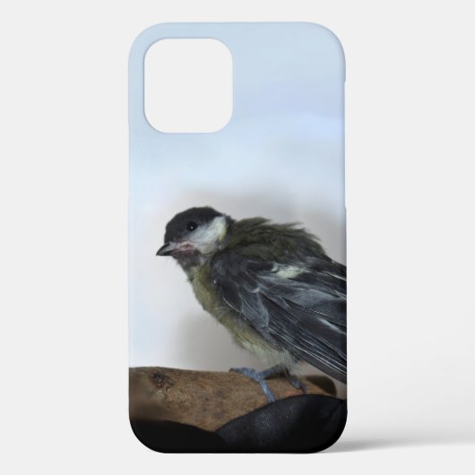 パルスのティディ専攻のー Case-Mate iPhoneケース (裏面)