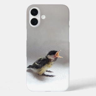 パルスのティディ専攻のー iPhone 16 PLUSケース