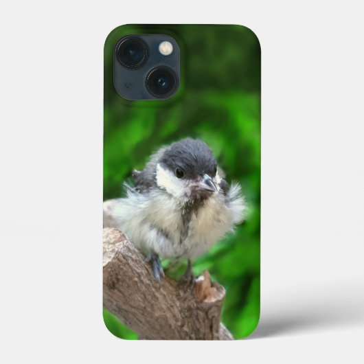 パルスのティディ専攻のー Case-Mate iPhoneケース (裏面)